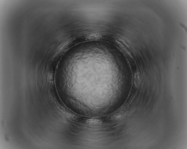 X0000091590714200708271243