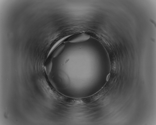 X0000091590715200708271243