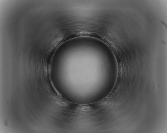 X0000091590716200708271243