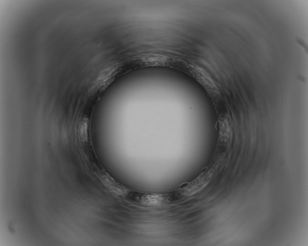X0000091590717200708271243