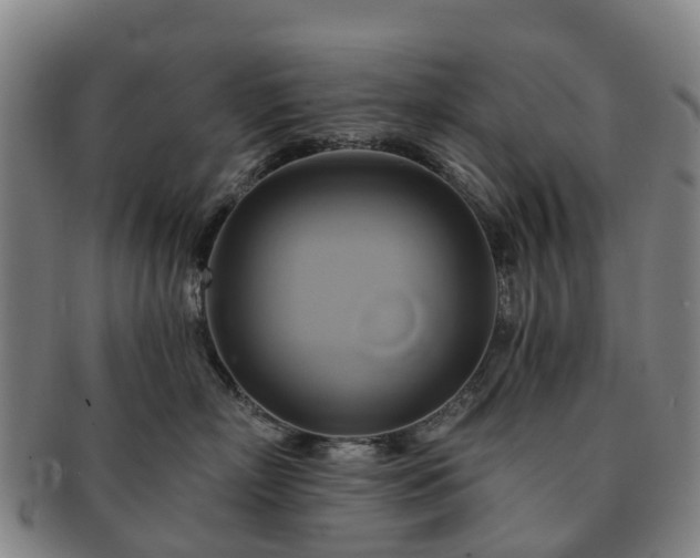 X0000091590718200708271243