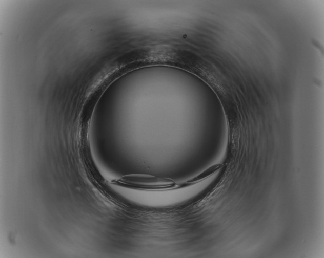 X0000091590722200708271242