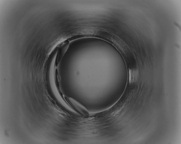 X0000091590723200708271242