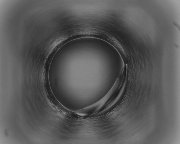 X0000091590724200708271242