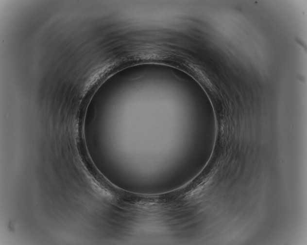X0000091590725200708271243