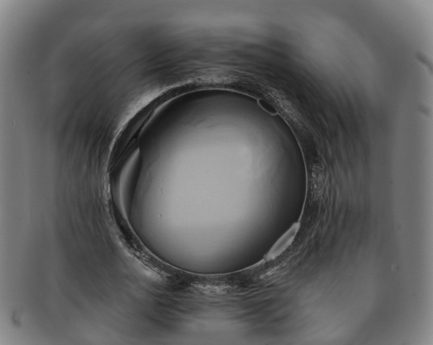 X0000091590726200708271243