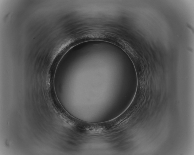 X0000091590727200708271243