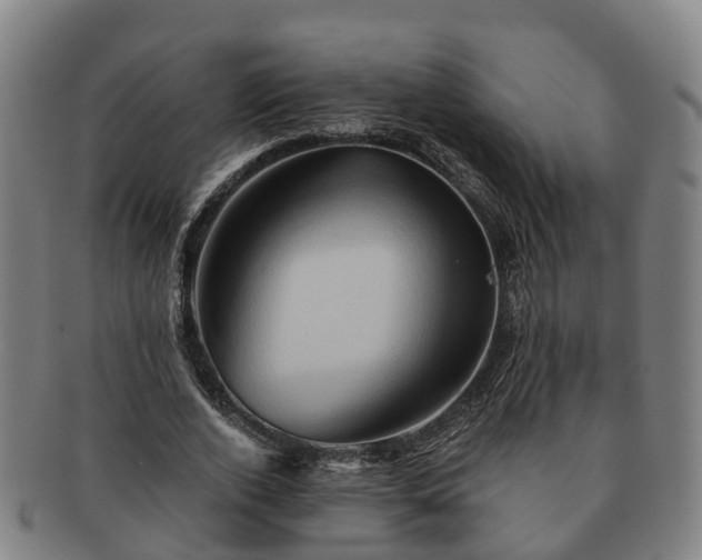 X0000091590728200708271243