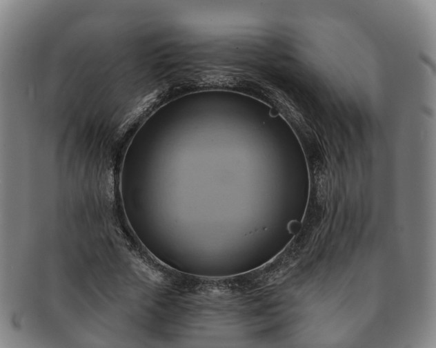 X0000091590729200708271243