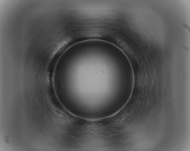 X0000091590731200708271243