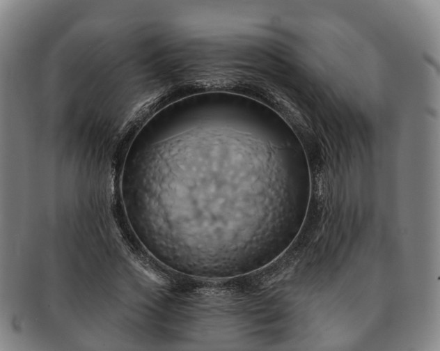 X0000091590733200708271243