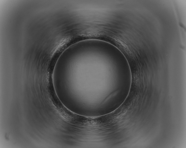X0000091590735200708271243