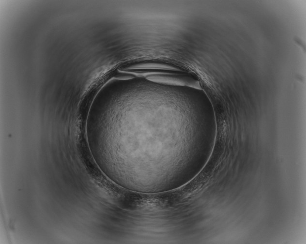 X0000091590736200708271243
