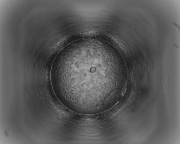 X0000091590737200708271243