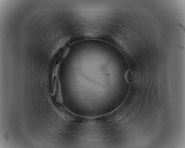 X0000091590738200708271243