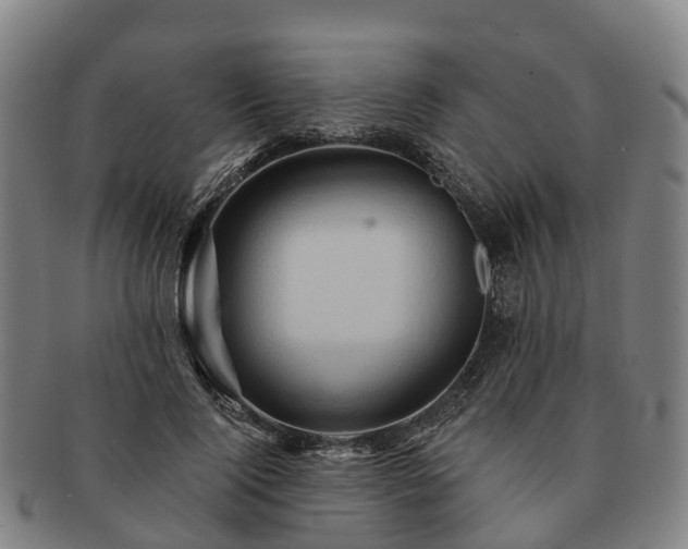 X0000091590740200708271243