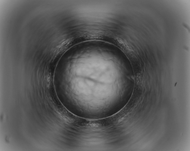 X0000091590741200708271243