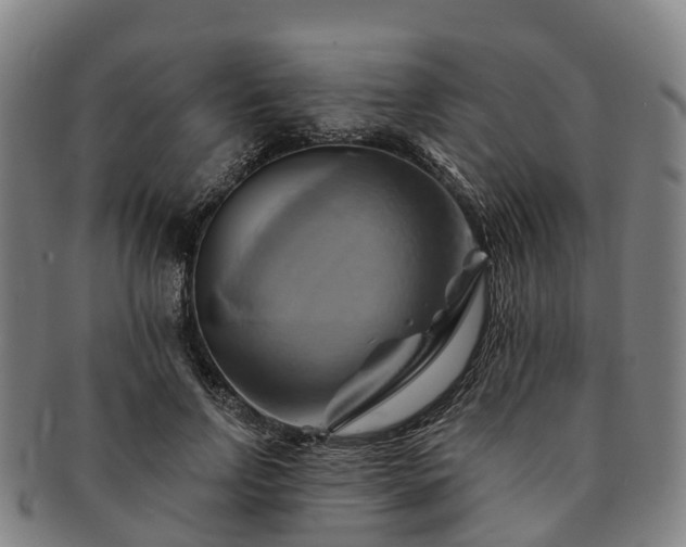 X0000091590742200708271243