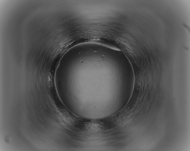 X0000091590743200708271243