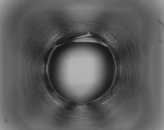 X0000091590744200708271243