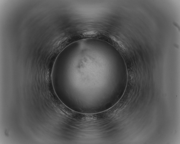 X0000091590745200708271243