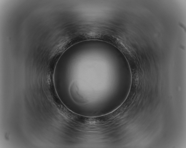 X0000091590746200708271243
