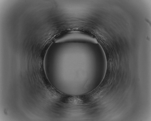 X0000091590747200708271243