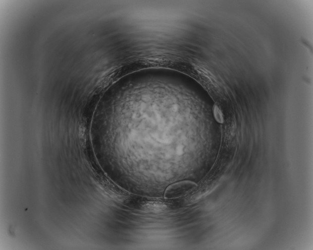 X0000091590749200708271243