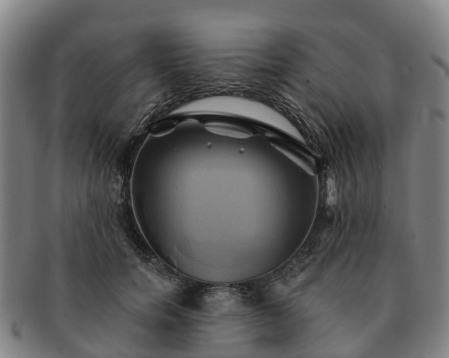 X0000091590750200708271243