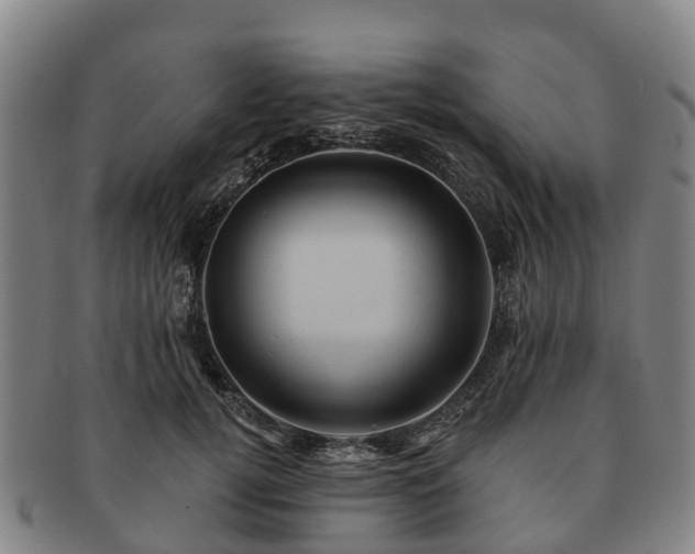 X0000091590752200708271243