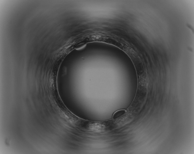 X0000091590754200708271243