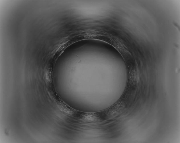 X0000091590755200708271243