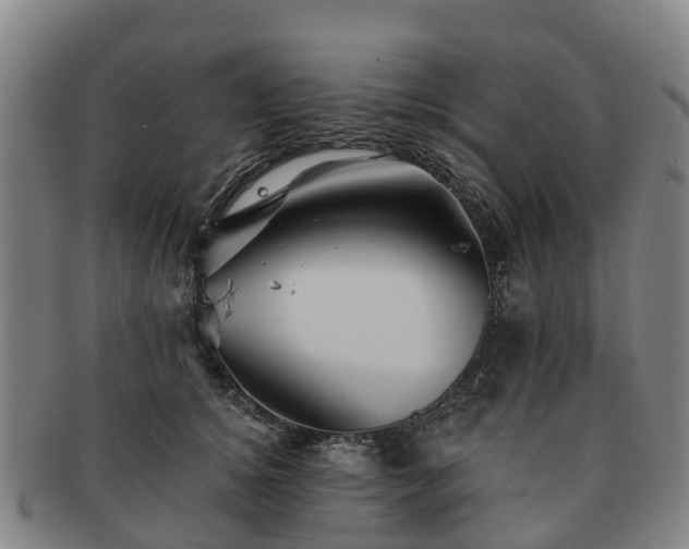 X0000091590756200708271243