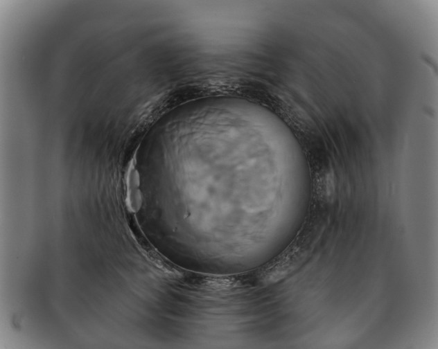 X0000091590757200708271243