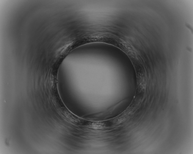 X0000091590758200708271243