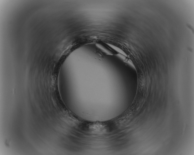 X0000091590759200708271243