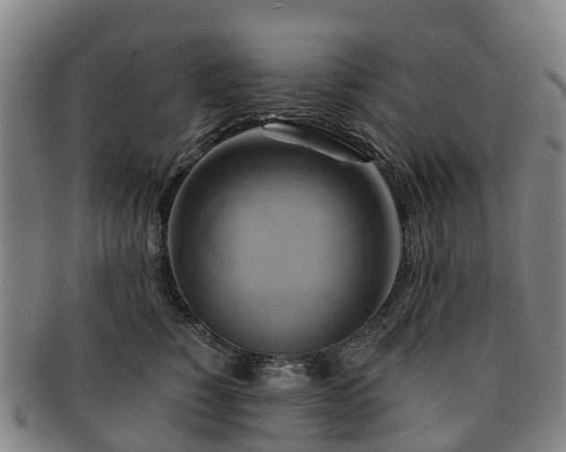 X0000091590760200708271243