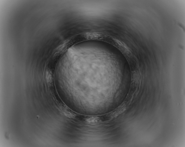 X0000091590761200708271243