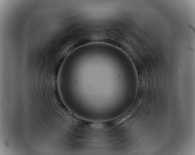X0000091590762200708271243