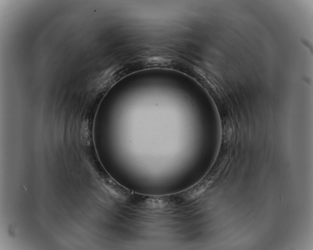 X0000091590764200708271243
