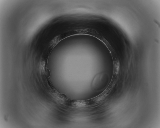 X0000091590765200708271243