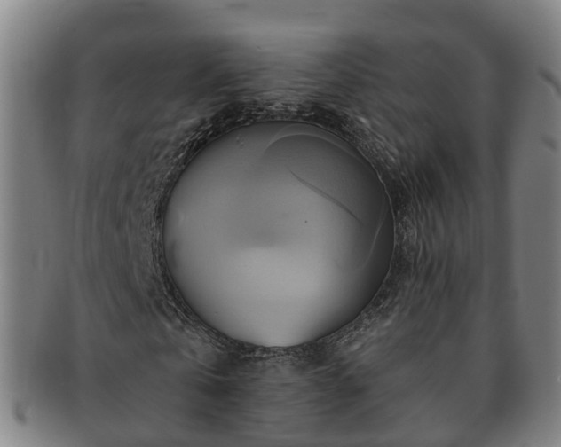 X0000091590769200708271242