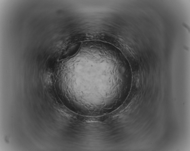 X0000091590770200708271242