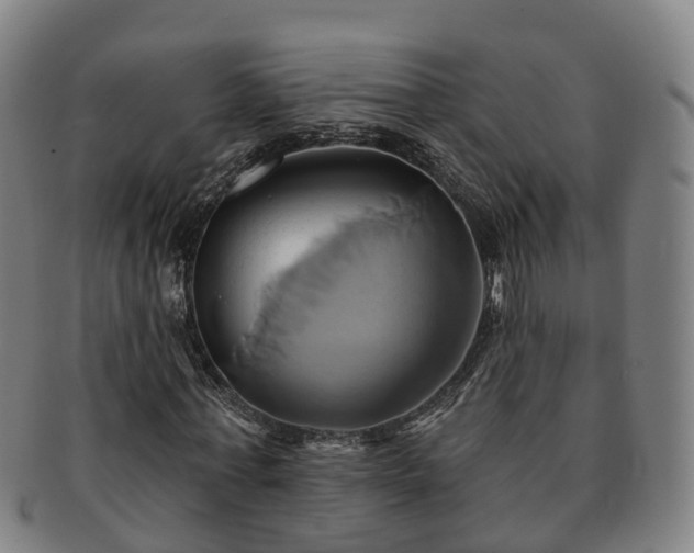 X0000091590771200708271242