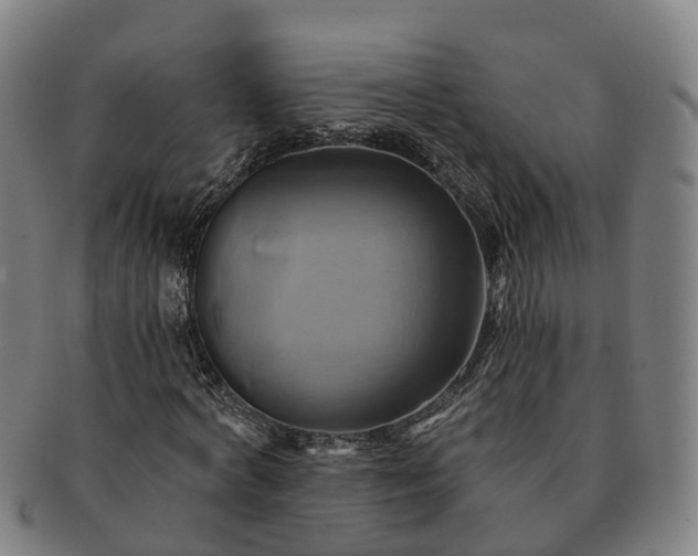 X0000091590772200708271242