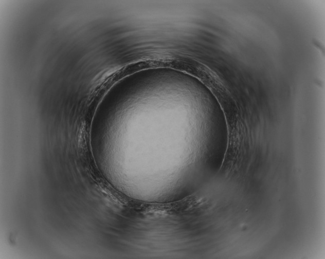 X0000091590773200708271242