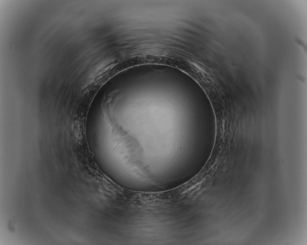 X0000091590774200708271242