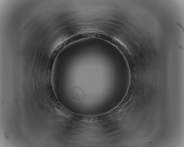 X0000091590775200708271242