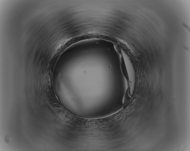 X0000091590776200708271242