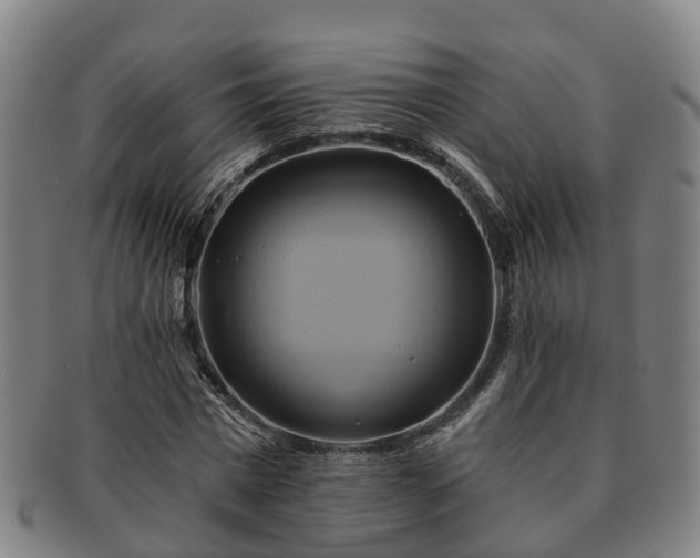 X0000091590777200708271242